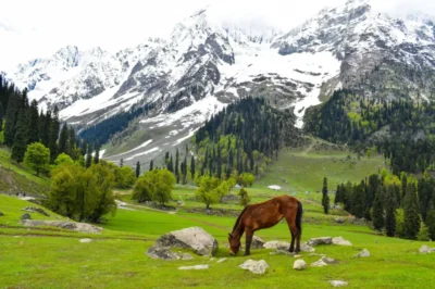 travelling-to-Sonmarg-kashmir-scaled