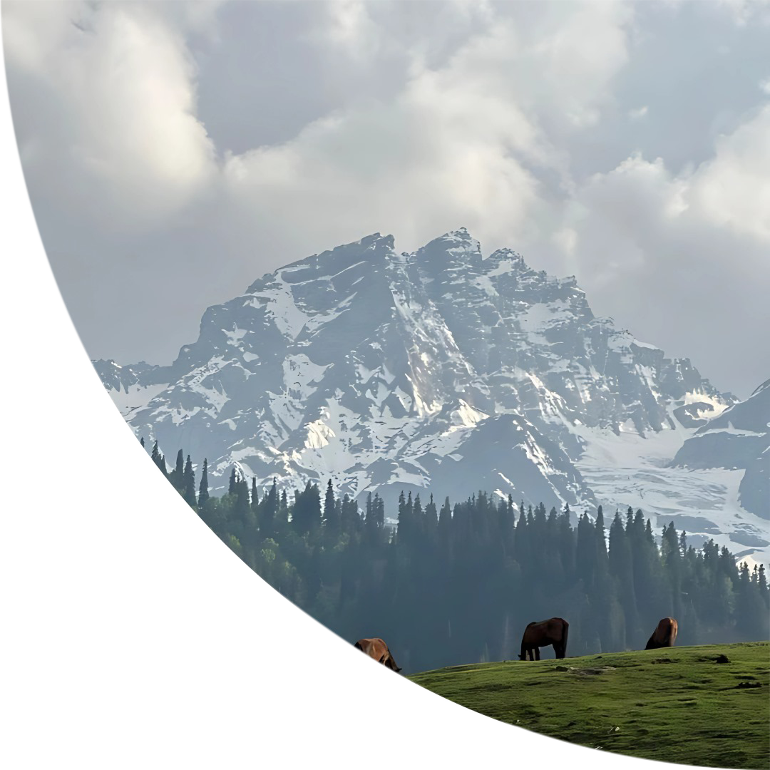 Kashmir