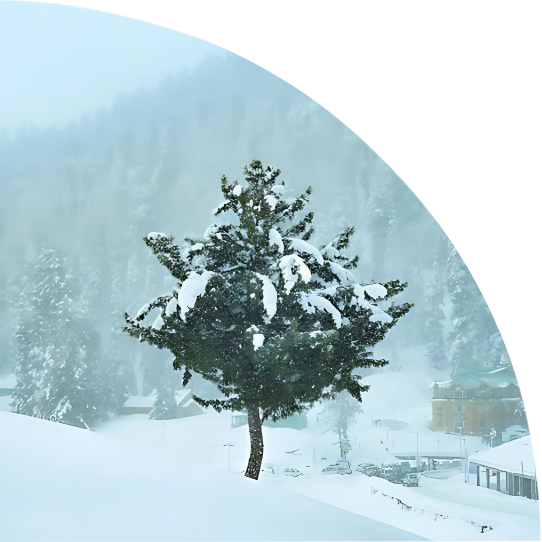 Kashmir